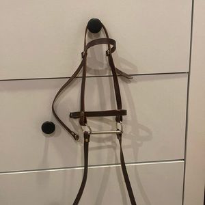 hobby horse accessories,  - 2 bridles and a halter, green reins and 2 carrots.